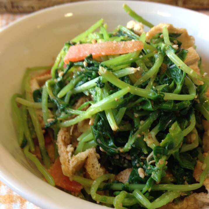 栄養満点*豆苗&油揚げのマヨ胡麻和え*